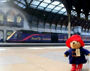 帕丁頓小熊  英最出名非法移民