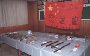 不是黑更不是白，是現在比日本黑道還難管的「準暴力團」