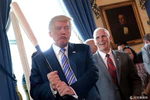 「白宮還是有大人在」美國資深幕僚匿名投書  由內抵抗川普政策