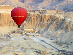 夢想變夢靨  埃及熱氣球墜毀意外釀19死