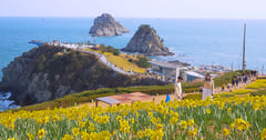 釜山景點｜五六島天空步道(오륙도스카이워크) & 五六島迎日公園(오륙도해맞이공원)： 將五六島全景盡收眼底，欣賞春季限定的水仙花海
