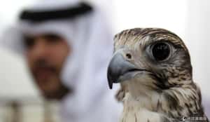 世界首富國卡達沒你想的那麼快樂