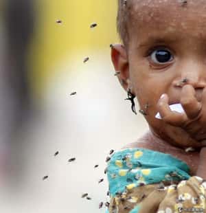 你有沒有染上瘧疾？呼一口氣來看看