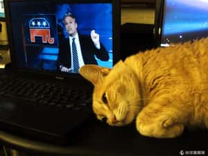 就是不想動！學者建議1星期不一定要運動2.5小時