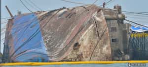 1,073天的等待  南韓世越號被抬出水面