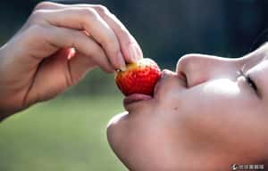 為什麼吃得健康也危險？