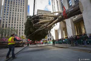 地球24小時：11/7/14