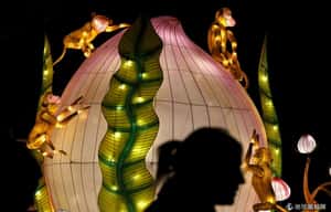 金猴攀桃   倫敦應景推出花燈展精緻程度讓人讚嘆