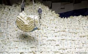 「稻米成不了核武」南韓送五萬噸米到北韓