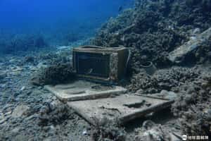 魚兒魚兒水中游，垃圾也在海溝飄  下潛馬里亞納海溝創紀錄者的意外發現