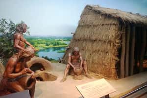 原始科技正流行  為什麼人們這麼愛？