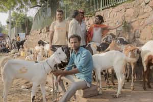 走進賈瑪清真寺做禮拜，體驗舊德里的穆斯林大節宰牲節（Eid al-Adha）