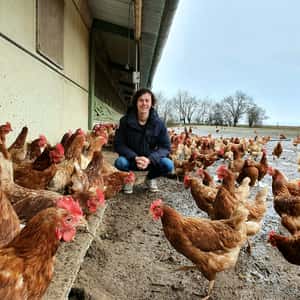 蛋類自給率達100%　法國人雞共好，實現「雞蛋自主」