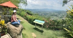 [台南景點]玉井虎頭山瑪莎園｜俯瞰山景的老牌景觀餐廳，玻璃屋與庭園美景，在地水果入菜