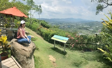 [台南景點]玉井虎頭山瑪莎園｜俯瞰山景的老牌景觀餐廳，玻璃屋與庭園美景，在地水果入菜
