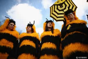 英國養蜂人家佔領國會廣場