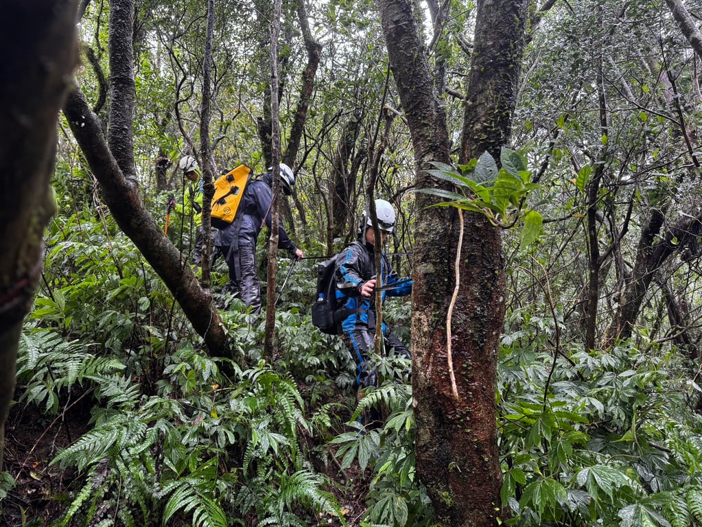 男子頭城山區失聯新北、宜蘭兩消防人員搜救 家屬懸賞50萬協尋