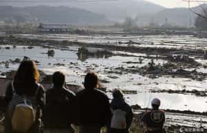 日本地震災區成另類觀光景點