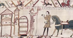 貝葉掛毯陰莖之謎  牛津中古史教授來解答