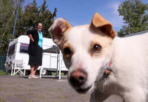 【地球 24小時】04/17  汪汪，你在看我嗎？