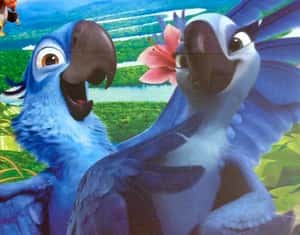 《里約大冒險》裡的金剛鸚鵡也在其中  研究：8種鳥類瀕臨絕種