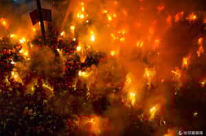 600年來沒有變   西班牙小鎮的夏日慶典