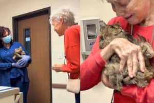 「不要放棄希望，也不要低估貓的堅強」 洛杉磯野火後失蹤兩個月的貓與82歲主人重逢