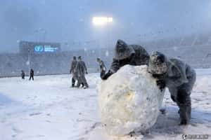 雪封東京  日本關東受暴雪影響交通癱瘓意外頻傳