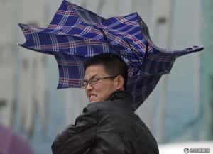 30萬支共享傘失蹤 公司：不意外