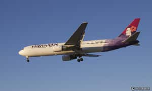 美男孩奇蹟活過萬尺高空低溫