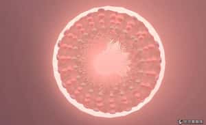 皮膚細胞造出精卵，同志伴侶、不孕症患者無須借種也可生小孩？