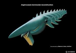 古生物學家發現比人還大化石「海神」