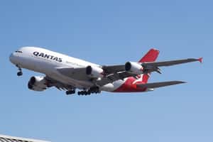 「要怎麼開一間航空公司？」澳洲十歲男孩收到航空公司執行長回信