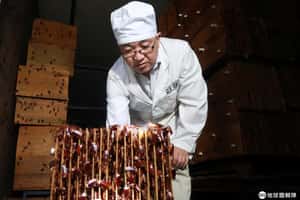 蟑螂農場新商機  中國消化廚餘好幫手