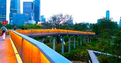 【曼谷新景點】隱身市區美麗的城市森林天空步道 結合腳踏車深度旅行! 😍