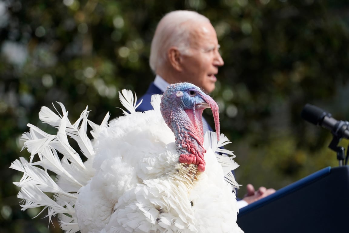 （2023更新）今年的天選火雞是誰呢？白宮舉行感恩節傳統「赦免火雞儀式」