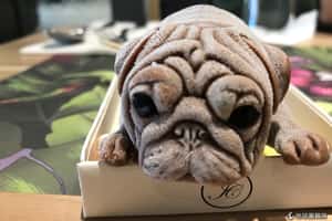 你要吃它嗎？在台灣找到超擬真小狗冰淇淋