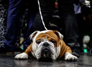 【地球 24小時】03/05 只想當塊會呼吸的肉