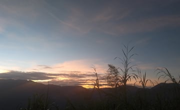 【遊記】夸父逐日想跑贏太陽，大漠逐日是想看日出，阿里山國家森林遊樂區 (祝山線) - 大漠國渡