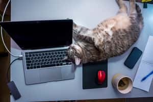 「在家工作的生產力更高」我們為什麼還要進辦公室呢？