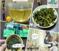 阿里山金萱 🌼梅山春韻×隙頂穀隱風味🍃 三葉茶莊(永和創始店)