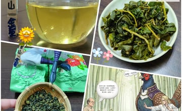阿里山金萱 🌼梅山春韻×隙頂穀隱風味🍃 三葉茶莊(永和創始店)