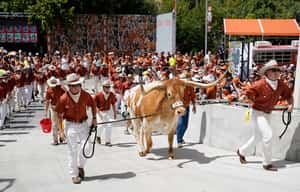 【地球 24小時】09/04 有牠坐鎮不一樣