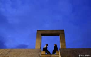 男女大不同嗎？ 美國專家來研究