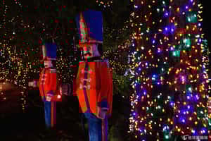 全球瘋點燈  讓冬天變溫暖的華麗燈光秀