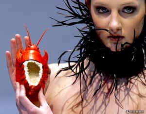 活煮牠們不可以  瑞士禁止傳統龍蝦烹飪法