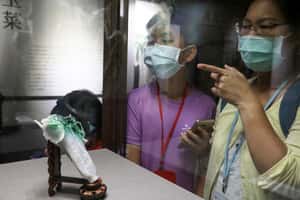 【地球 24小時】08/06  白菜我來看你了