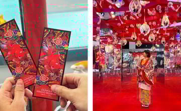 [沖繩展覽] 沖繩金魚博物館｜Okinawa Kingyo Museum｜光影、水族與金魚交織的夢幻展覽！ – 萍姐愛分享