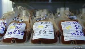 中國傳幫派迫學童捐血牟利