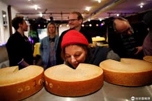 想做出濃郁的起司嗎？ 瑞士研究：給它聽嘻哈！